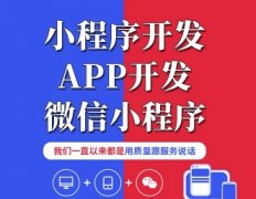 网站推广、小程序制作、小程序开发